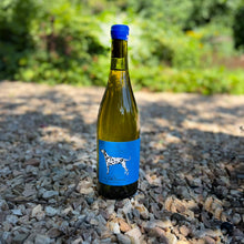 Lade das Bild in den Galerie-Viewer, Chardonnay trocken 2025