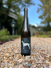 Lade das Bild in den Galerie-Viewer, Riesling Reserve trocken 2022