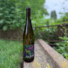 Lade das Bild in den Galerie-Viewer, JUNGE HUNDE Riesling - trocken 2025