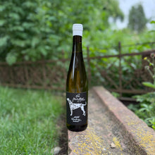 Lade das Bild in den Galerie-Viewer, Riesling - trocken 2025