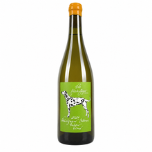 Lade das Bild in den Galerie-Viewer, Sauvignon Blanc Fumé trocken 2024
