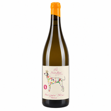 Lade das Bild in den Galerie-Viewer, Sauvignon Blanc Reserve Amphore trocken 2024
