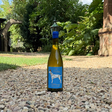 Lade das Bild in den Galerie-Viewer, 2025 Chardonnay Reserve - trocken
