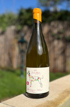 Lade das Bild in den Galerie-Viewer, Sauvignon Blanc Reserve Amphore trocken 2024
