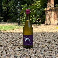 Lade das Bild in den Galerie-Viewer, Sauvignon Blanc Ovum trocken 2025
