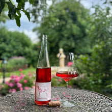 Lade das Bild in den Galerie-Viewer, Rosa Pünktchen Rosé  2024
