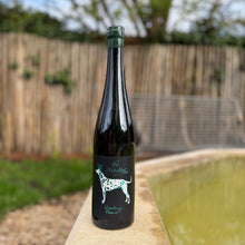 Lade das Bild in den Galerie-Viewer, Riesling Reserve - trocken 2023
